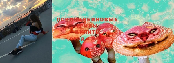 jwh Алзамай