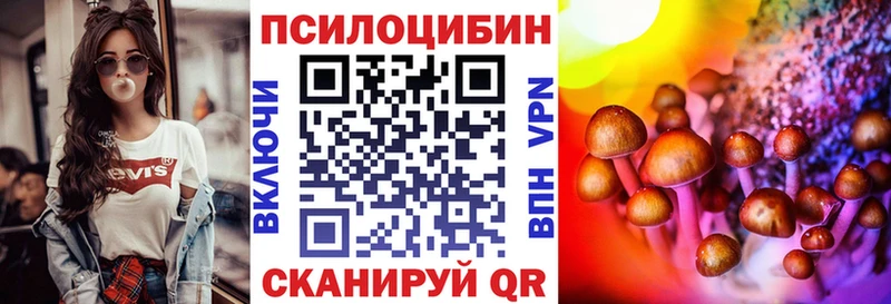 купить наркоту  Шенкурск  Галлюциногенные грибы Psilocybe 
